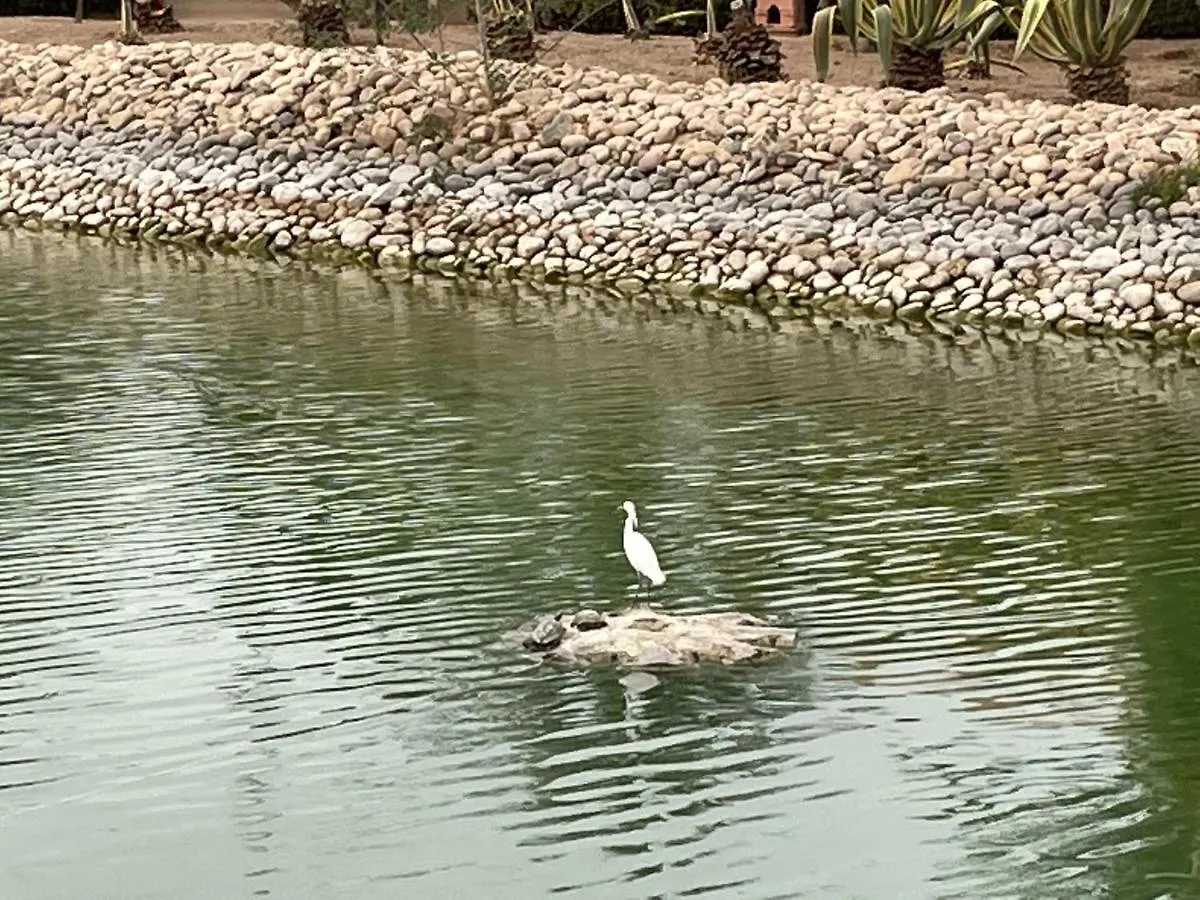 Au Coeur De La Palmeraie De Marrakech Марракеш 0*,  Марокко