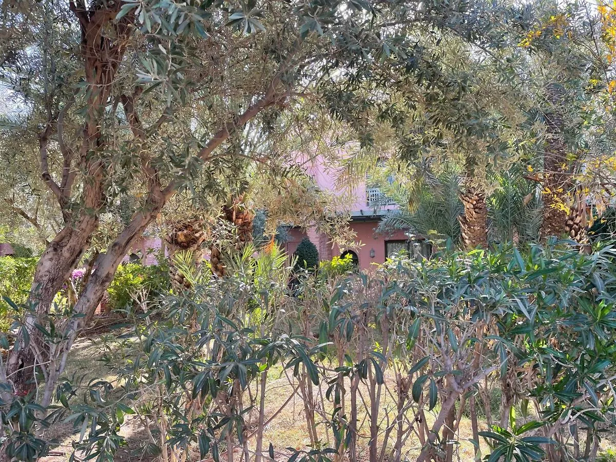 Апартаменты Au Coeur De La Palmeraie De Marrakech Марракеш Марокко